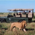 Lion and Game Drive Vehicle